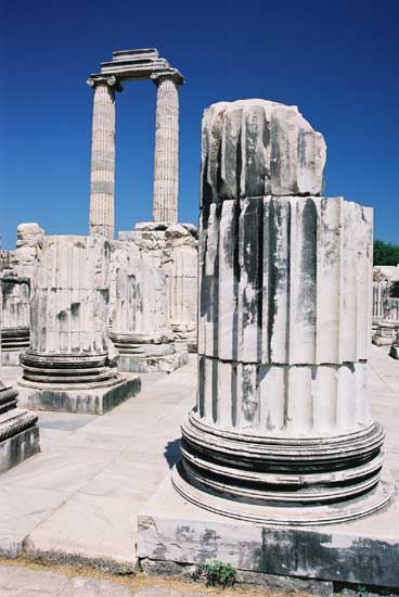 Temple d'Apollon, Didymes